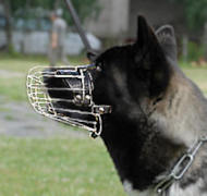 Siberian husky dog muzzle/ Akita dog muzzle
