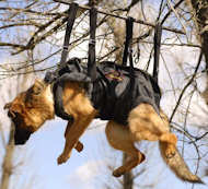 Tactical Insertion Harness - Crucial harness in rapid ascending