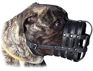EveryDay Leather Large Dog Muzzles for Mastiff-Padde Muzzle EveryDay Leather Large Dog Muzzles for Mastiff-Padde Muzzle