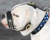 American Bulldog dog Muzzles&nbsp;
