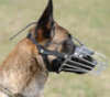 Belgian Malinois dog Muzzles&nbsp;