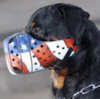 Rottweiler dog Muzzles