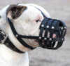 American Bulldog dog Muzzles 