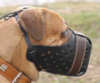 Bullmastiff dog Muzzles&nbsp;