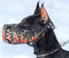 Doberman Pinscher dog Muzzles&nbsp;