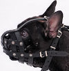 French Bulldog dog muzzle 