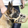 Belgian Malinois dog Muzzles&nbsp;