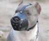American Pit Bull Terrier dog Muzzles 