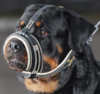 Rottweiler dog Muzzles