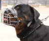 Rottweiler dog Muzzles