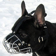 French Bulldog Wire Basket Dog Muzzle-Small Cage Muzzle l French Bulldog Wire Basket Dog Muzzle-Small Cage Muzzle l