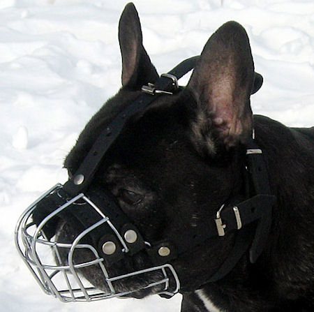 French Bulldog Wire Basket Dog Muzzle-Small Cage Muzzle l