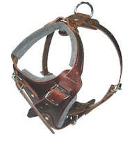 Best Custom/designer Leather Dog Harness - Best Deluxe harness