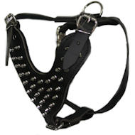 Large Top Dog Spiked Black/Brown Leather Dog Harness