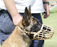 PLASTIC WIRE MUZZLE DOG MUZZLE for Belgian Malinois