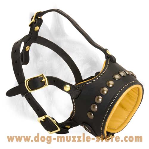 Nappa Padded Leather Dog Muzzle With Perfect Air Flow