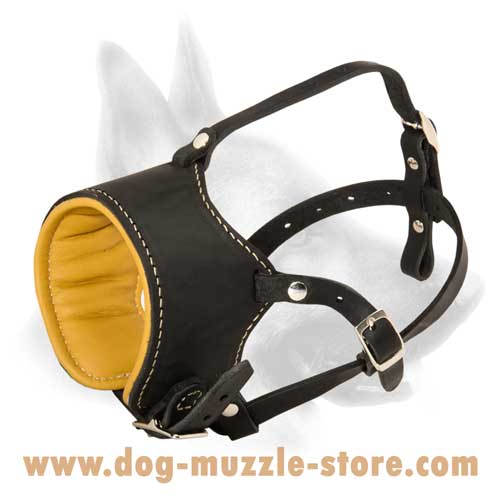 Comfortable Leather Dog Muzzle With Nappa Padding