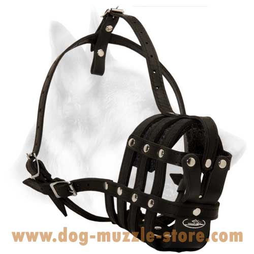Leather Basket Dog Muzzle For Medium Dog Breed