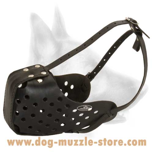 Adjustable And Perfectly Ventilated Leather Dog Muzzle