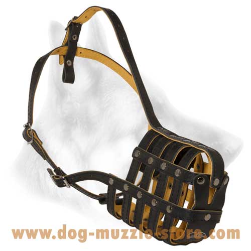 Leather Dog Muzzle With Rivets For More Durability
