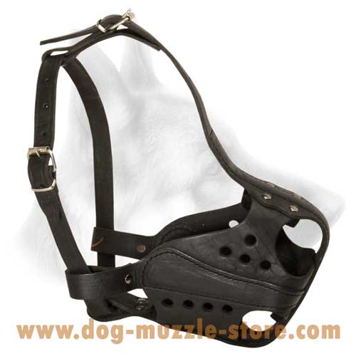 Incredible Leather Dog Muzzle With Soft Padding