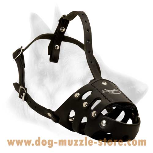 Easy Adjustable Leather Dog Muzzle With Soft Padding