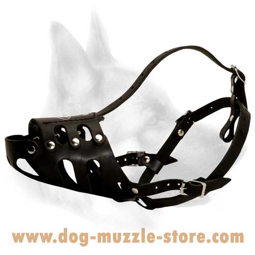 Everyday Dog Muzzle With Adjustable Straps For Better  Fit