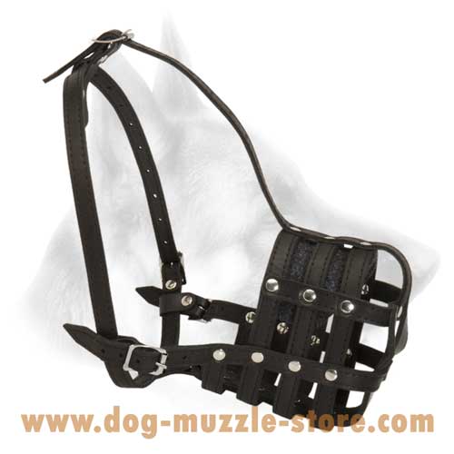 Super Designed And Easy Adjustable Leather Basket Dog  Muzzle
