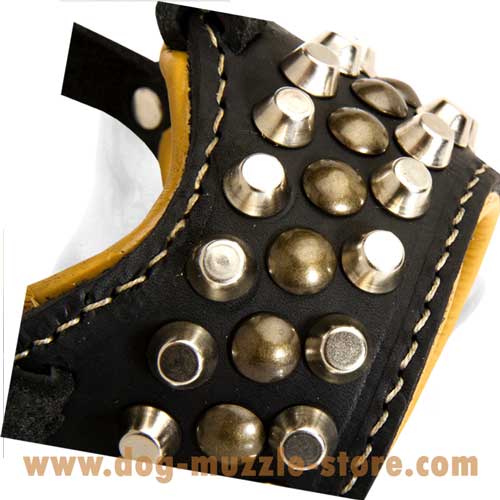 Unusually Studs Decorated Dog Muzzle With Adjustable  Straps