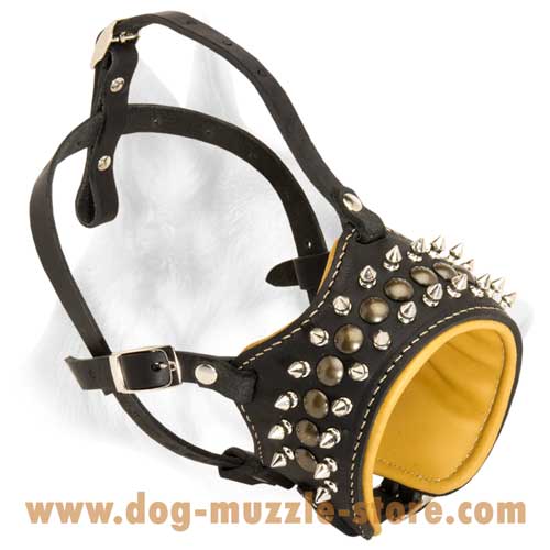 Comfortable In Use Leather Dog Muzzle With Soft Nappa  Padding