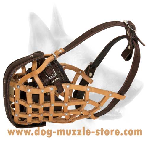 Everyday Leather Dog Muzzle With Easy Adjustable Straps
