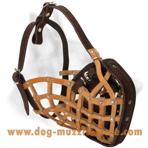 Comfortable Leather Basket Dog Muzzle With Soft Felt  Padding