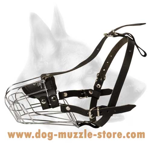 Perfectly Ventilated Wire Dog Muzzle For Safe Walking