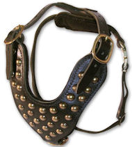 Stud Dog Harness for walking dogs-2 ply leather HARNESS