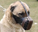 Leather dog muzzle "Dondi"-pluse style For Anatolian Shepherd