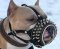 Royal Spiked Leather Dog Muzzle for Amstaff