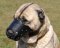 Everyday Anatolian Shepherd Leather dog muzzle
