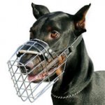 Doberman Wire Cage Dog Muzzle for Training and Walking