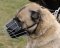 Basket Wire Dog Muzzle Light For Anatolian Shepherd