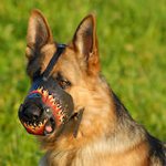 Handmade Art Leather dog muzzle for German Shepherd