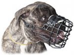 Everyday Cage Large wire Basket Dog Muzzle for Mastiff