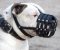 Everyday Light Weight Ventilation muzzle for Dogo Argentino