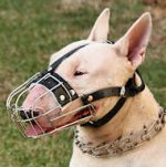 English Bull Terrier Wire Basket dog muzzle- custom dog muzzle