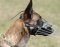 Belgian Malinois Wire Basket dog muzzle