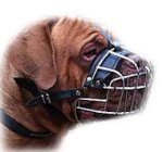 Best Big Wire Muzzle for Dogue De Bordeaux Basket-Cage Dog Muzzl