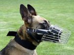 Full Padded Basket wire dog muzzle perfect for Malinois