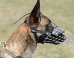 Belgian Malinois Wire Basket dog muzzle
