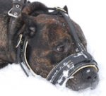 Royal Nappa Leather Dog Muzzle - FULL PADDED DOG MUZZLE