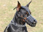 Everyday Light Weight Super Ventilated Doberman Muzzle