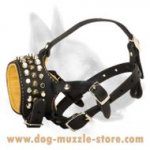 Royal Dog Muzzle Decorated With Pyramids